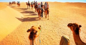 Alternative view of Tour DUBAI – ABU DHABI ( 5 Ngày 4 Đêm )