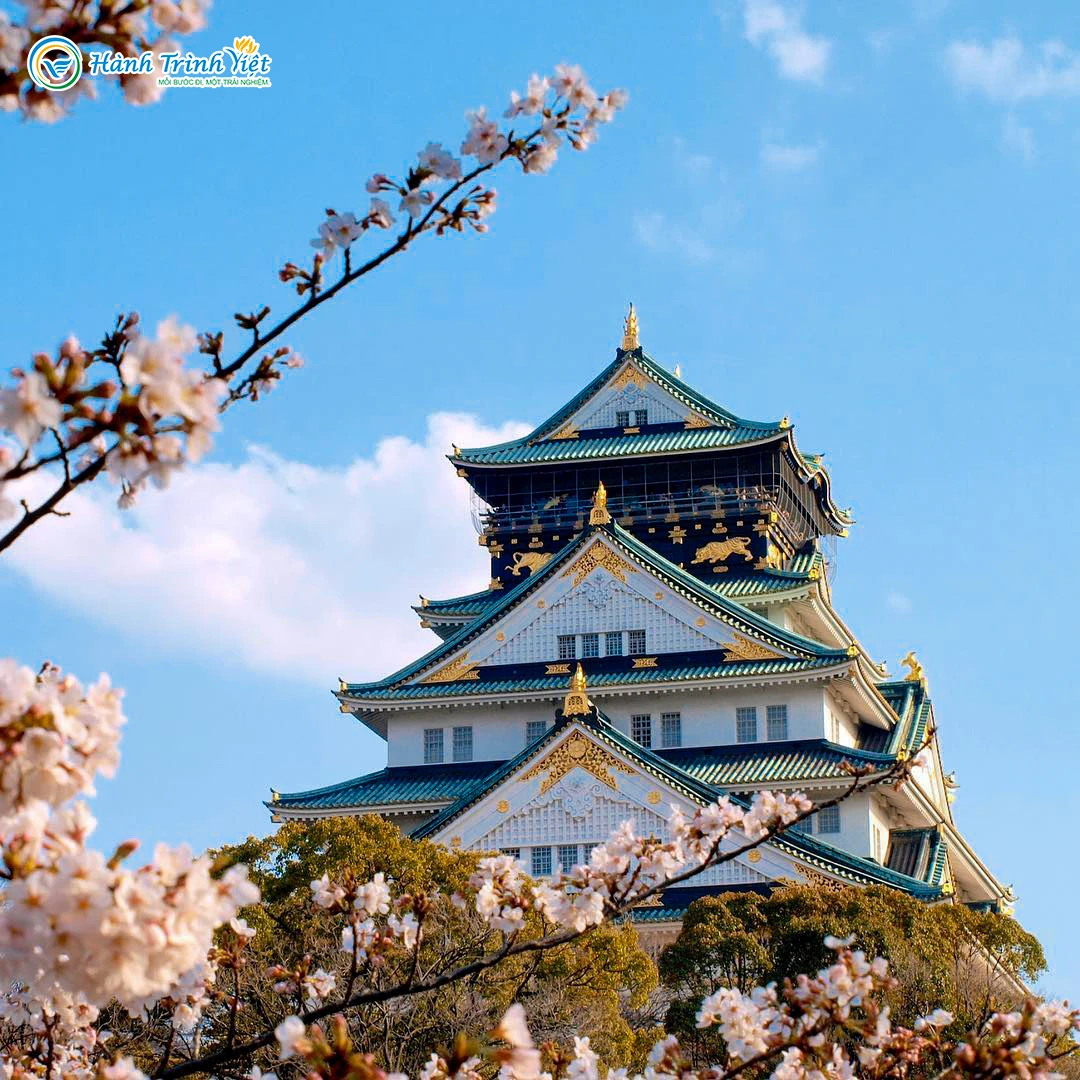 Alternative view of TOUR NHẬT BẢN NGẮM HOA ANH ĐÀO : OSAKA - KOBE - KYOTO - YAMANASHI - FUJI - TOKYO (5N5Đ)