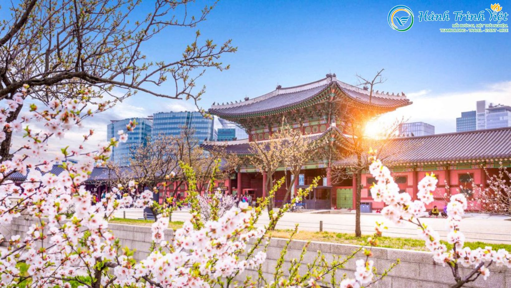 KHÁM PHÁ XỨ SỞ KIM CHI - HÀN QUỐC SEOUL - NAMI – EVERLAND (5 NGÀY - 4 ĐÊM) - Ảnh 3