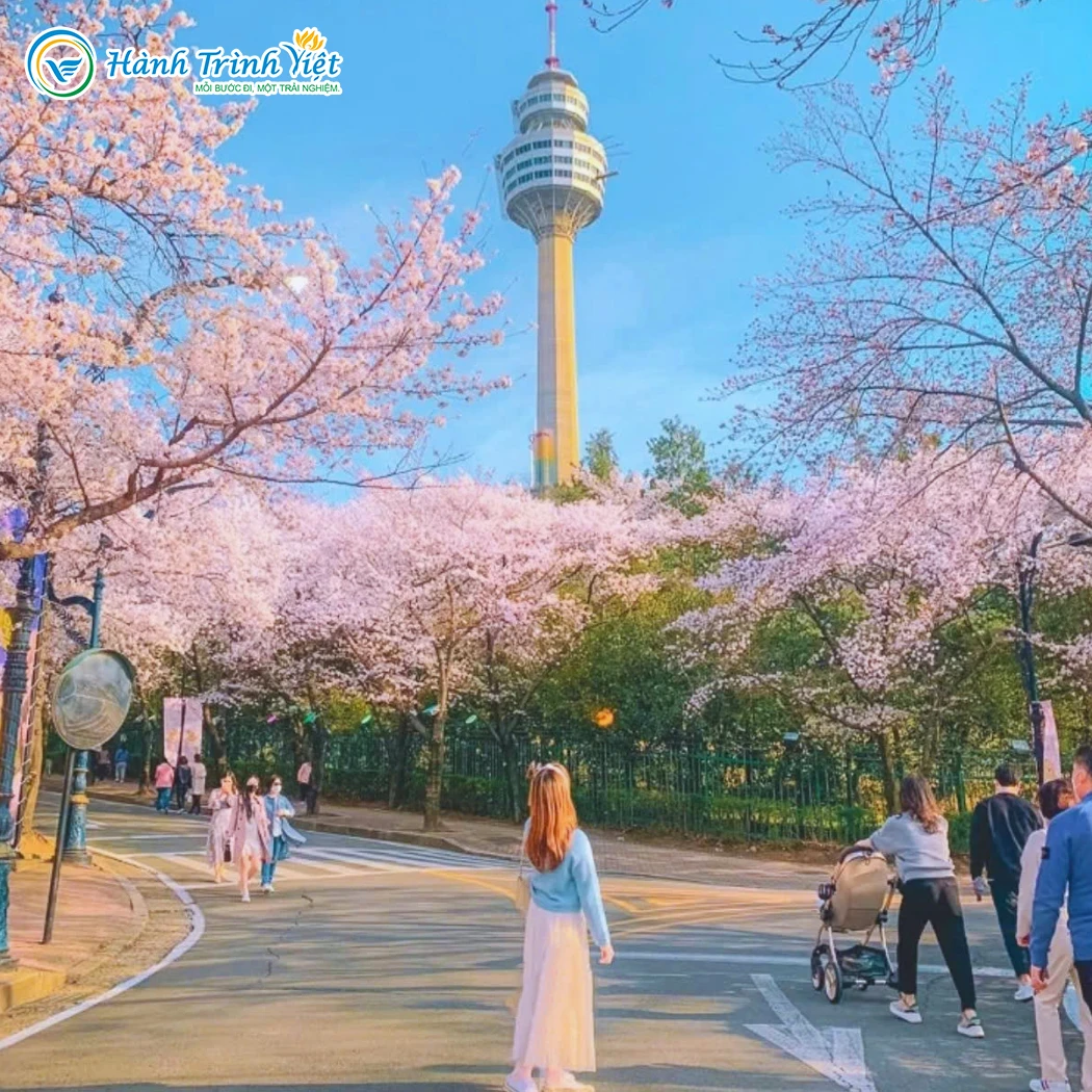 Alternative view of TOUR HÀN QUỐC: SEOUL – NAMI – EVERLAND 2026 | 5N4Đ
