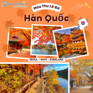 Tour Khám Phá Mùa Thu Hàn Quốc 5 Ngày 4 Đêm