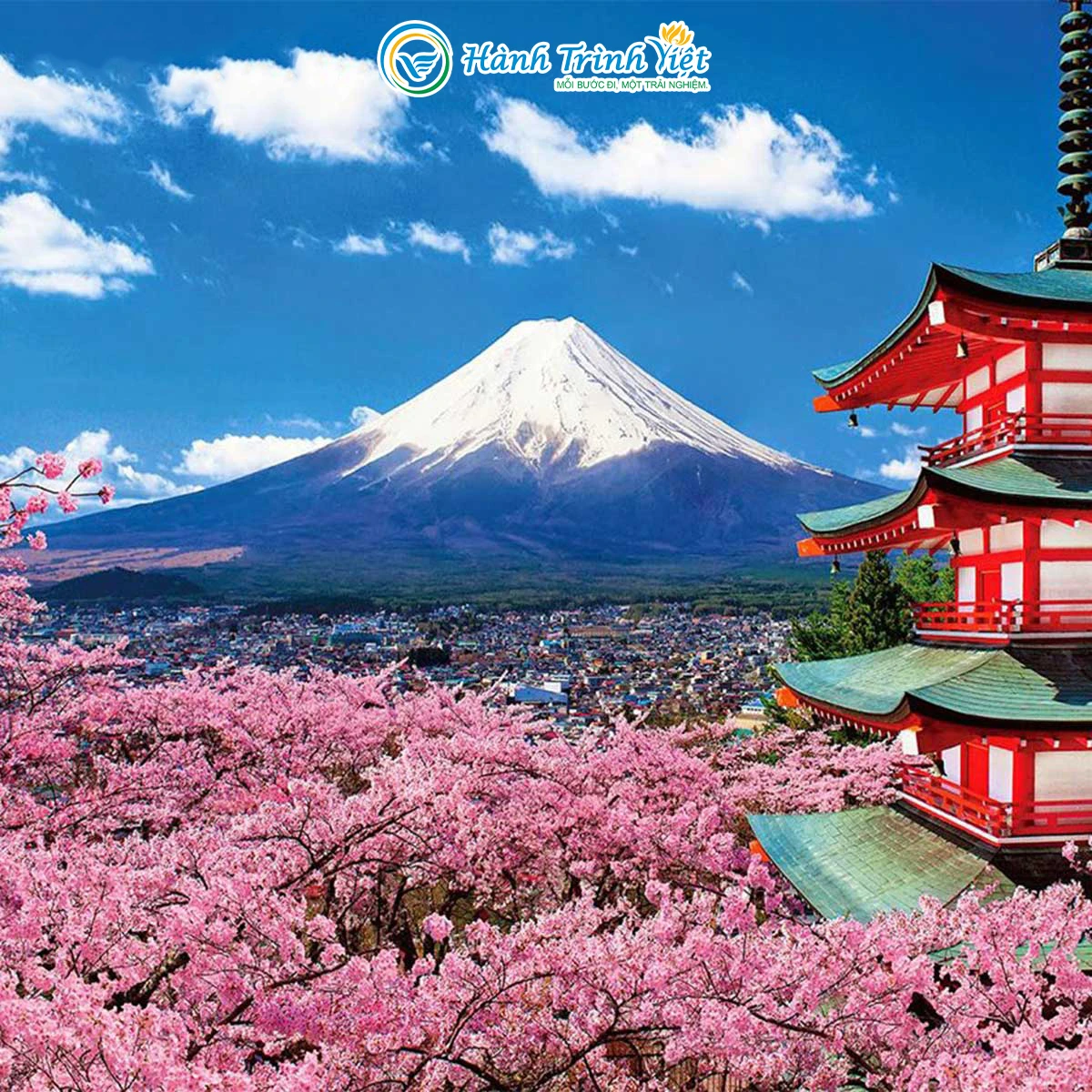 TOUR NHẬT BẢN NGẮM HOA ANH ĐÀO : OSAKA - KOBE - KYOTO - YAMANASHI - FUJI - TOKYO (5N5Đ)