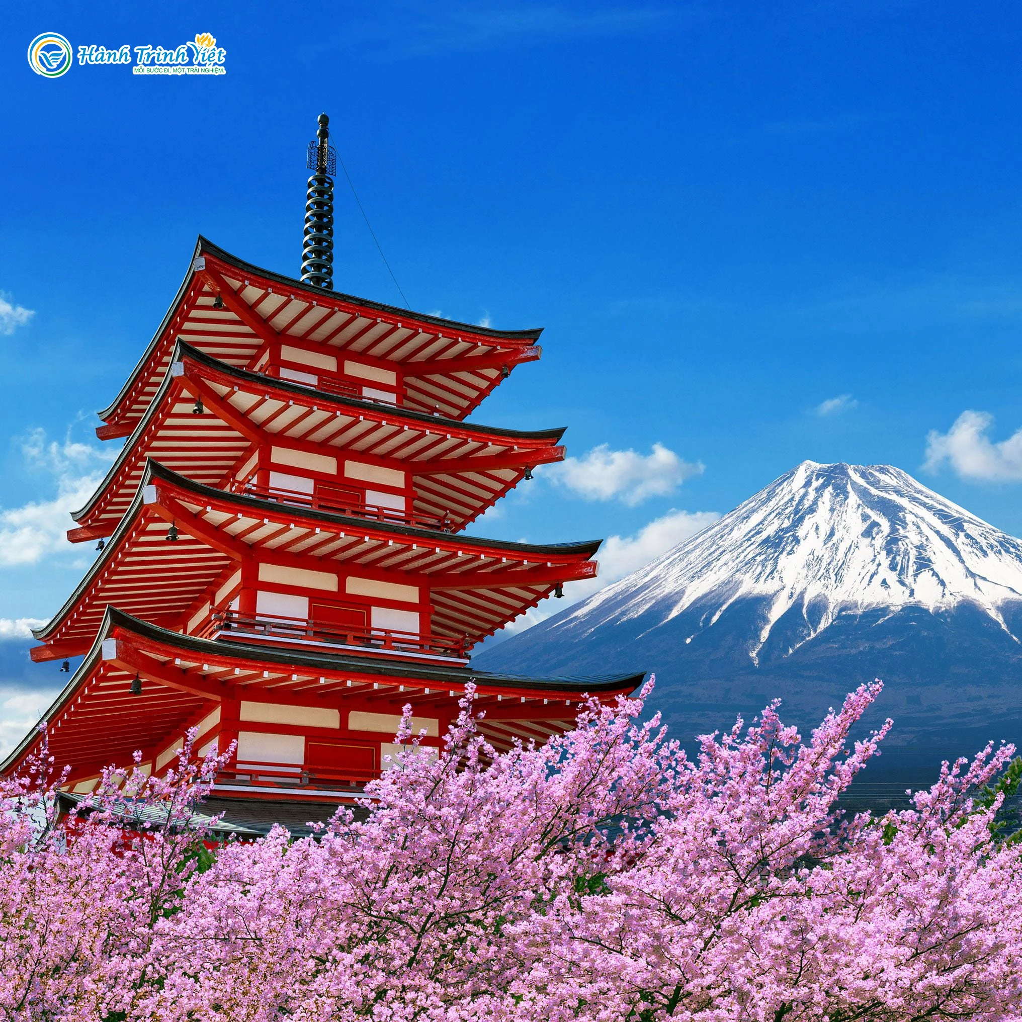 Alternative view of TOUR NHẬT BẢN NGẮM HOA ANH ĐÀO 6N5Đ | OSAKA - KOBE - KYOTO - YAMANASHI - FUJI - TOKYO