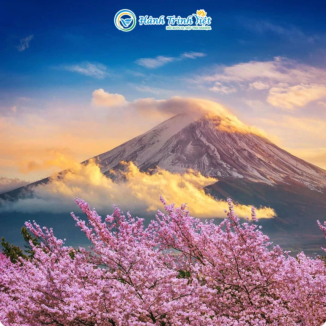 TOUR NHẬT BẢN NGẮM HOA ANH ĐÀO 6N5Đ | OSAKA - KOBE - KYOTO - YAMANASHI - FUJI - TOKYO