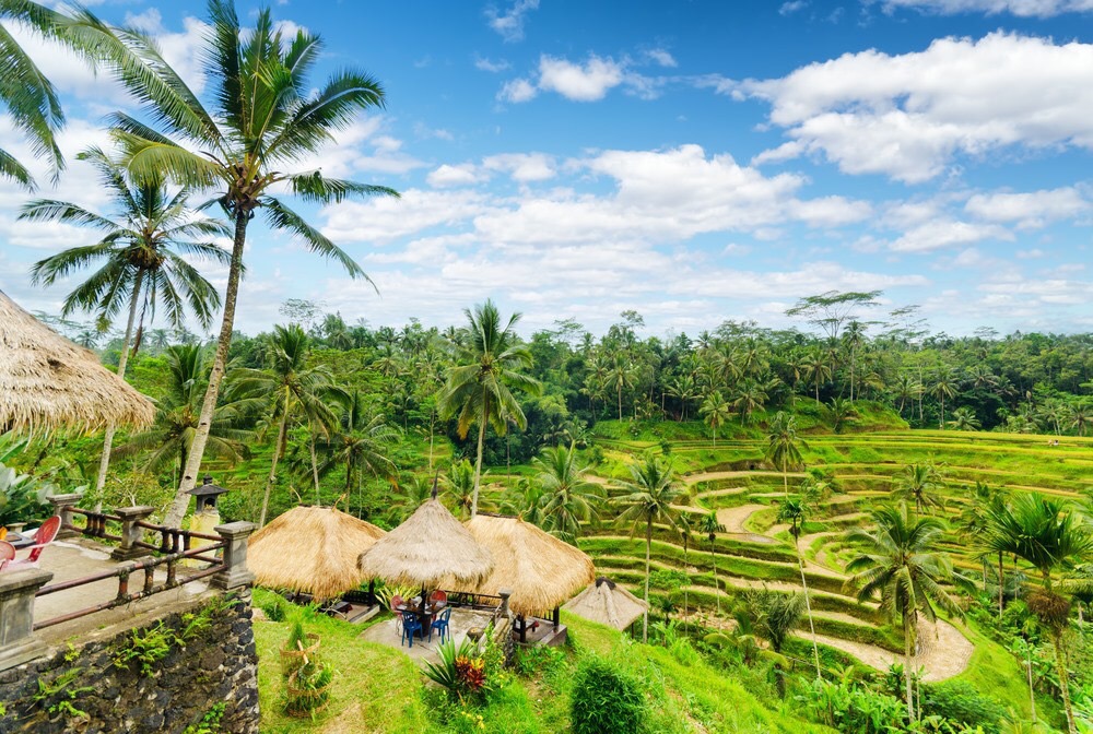 Tour Bali 4 Ngày 3 Đêm - Ảnh 8